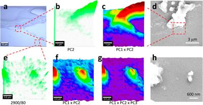 Raman imaging for the analysis of silicone microplastics and nanoplastics released from a kitchen sealant